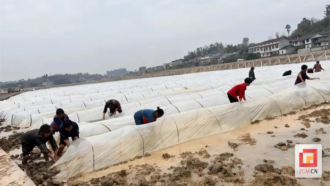 自贡养殖致富村_自贡养殖场_自贡养殖业有哪些