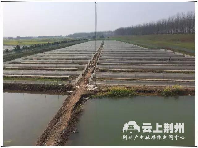 致富经养殖青蛙_致富经养殖青蛙_致富经养殖青蛙