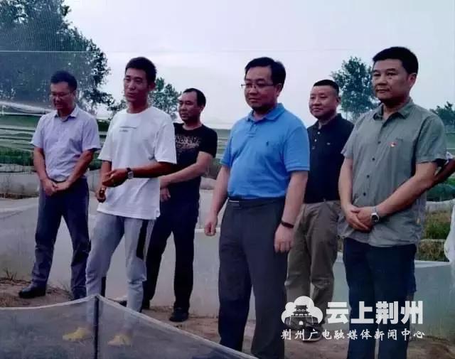 致富经养殖青蛙_致富经养殖青蛙_致富经养殖青蛙