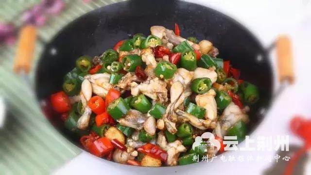 致富经养殖青蛙_致富经养殖青蛙_致富经养殖青蛙