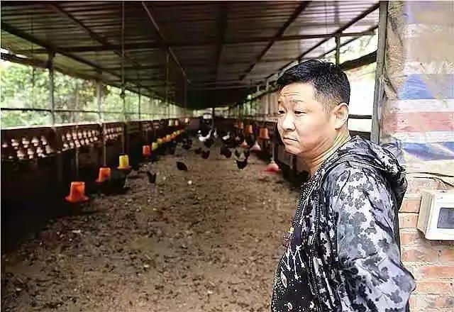 三德子赵亮：娶1米8模特娇妻，回乡下养鸡，今身价上亿成赢家？