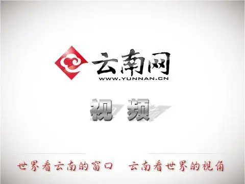 劳模名片：张起洪 云南省劳动模范