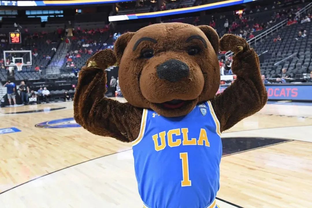 【交流经验分享】Go Bruins! 2022年寒假加州大学洛杉矶分校在线学分项目
