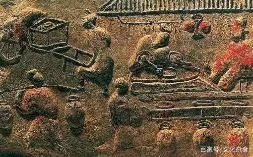 蒲萄苗怎么扦插_蒲萄开花期怎幺管理_蒲萄种植技术