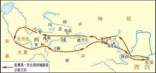 蒲萄种植技术_蒲萄苗怎么扦插_蒲萄开花期怎幺管理