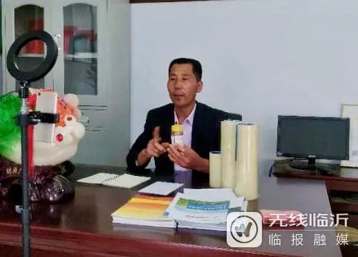 致富经种黄瓜_黄瓜种植效益_黄瓜种植高产技术