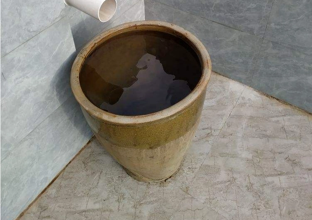 水缸养殖致富_致富养殖水缸视频_致富养殖水缸图片大全