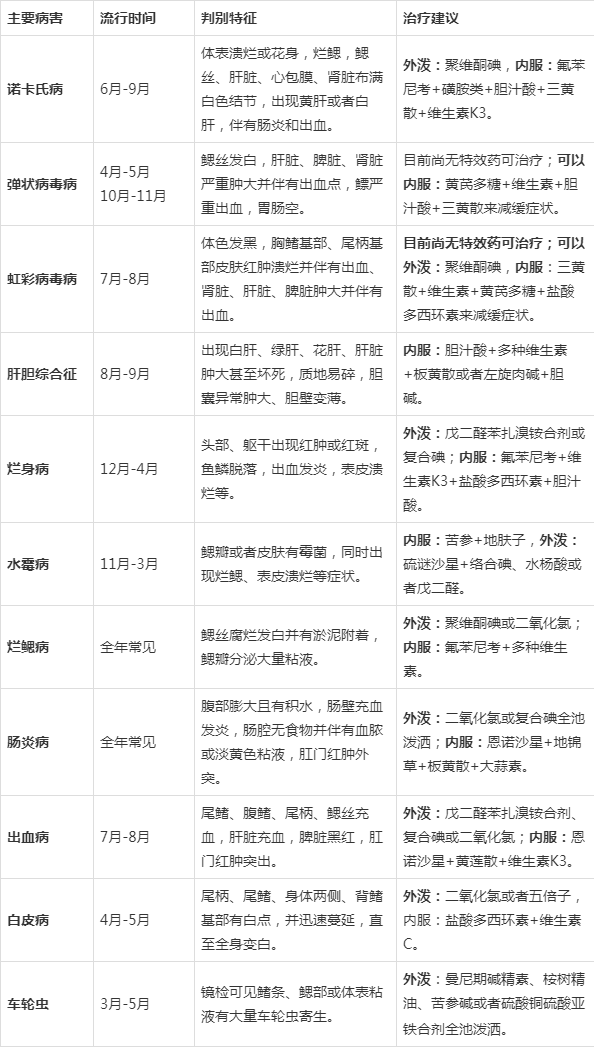水泥养殖池技术要点_水泥养殖池技术规范_水泥池养殖技术