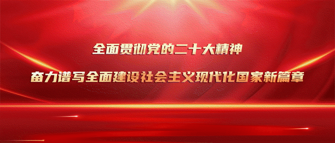 春作首 农为先 | 青云镇：订单蔬菜助农增收，开启致富新路子