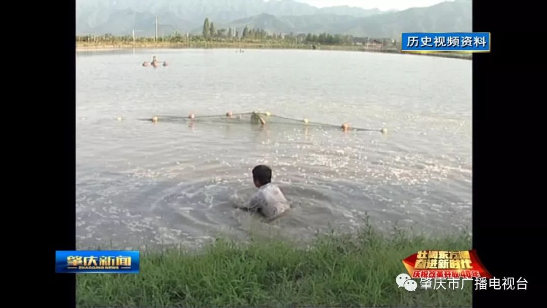 高手致富经视频_致富小视频_视频致富经