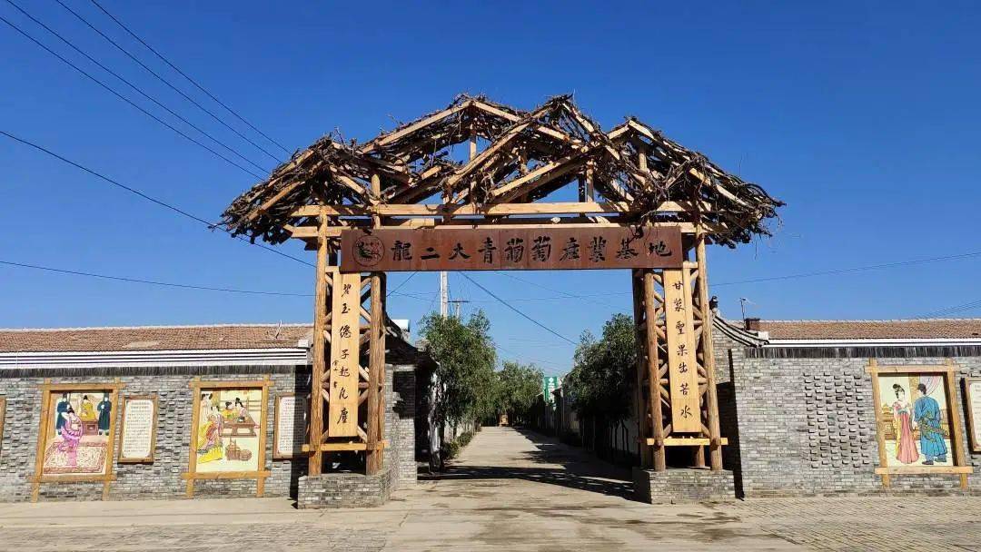 葡萄种植村民致富_种植葡萄带动村民就业_致富村民种植葡萄图片