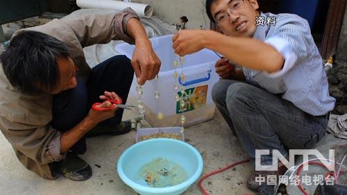 致富经娃娃鱼养殖_养殖娃娃鱼_致富养殖娃娃鱼赚钱吗