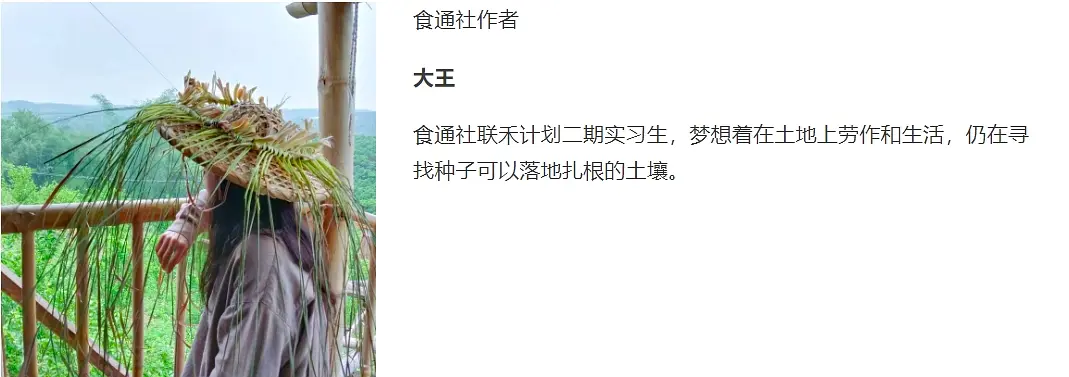 芒果北方种植技术与管理_芒果北方种植技术要求_北方芒果怎样种植技术