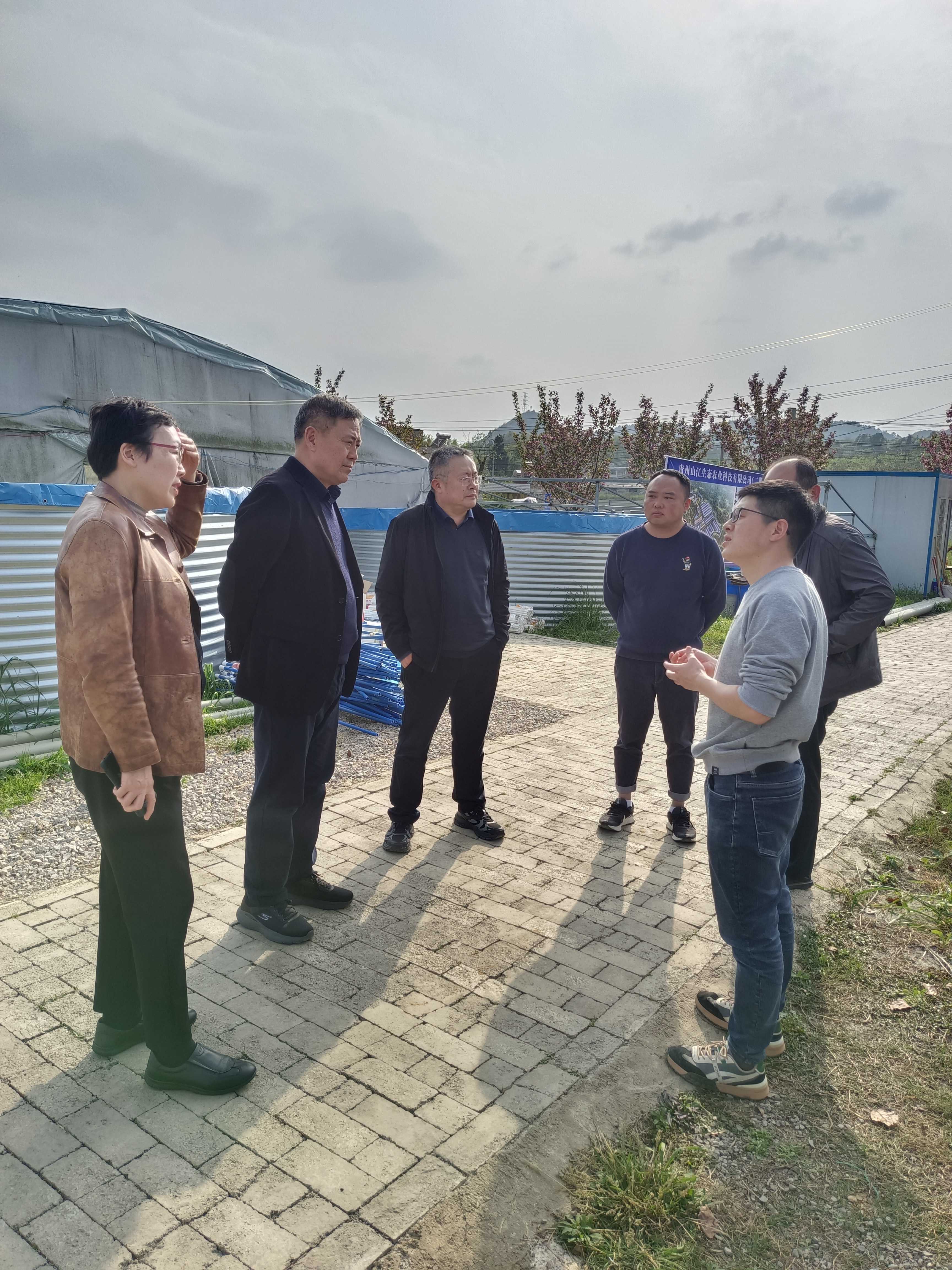 中国工程院院士包振民一行赴贵州山江生态农业科技有限公司开展凡纳滨对虾养殖技术指导