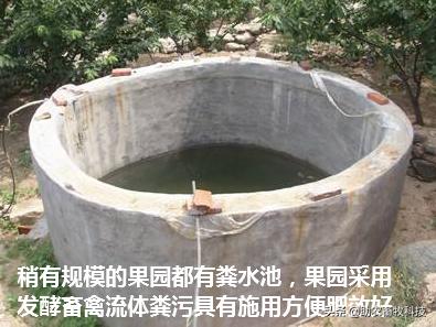 养殖猪老母技术要求_怎么养好老母猪_老母猪怎么养殖技术