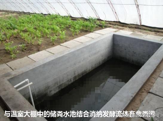 怎么养好老母猪_老母猪怎么养殖技术_养殖猪老母技术要求
