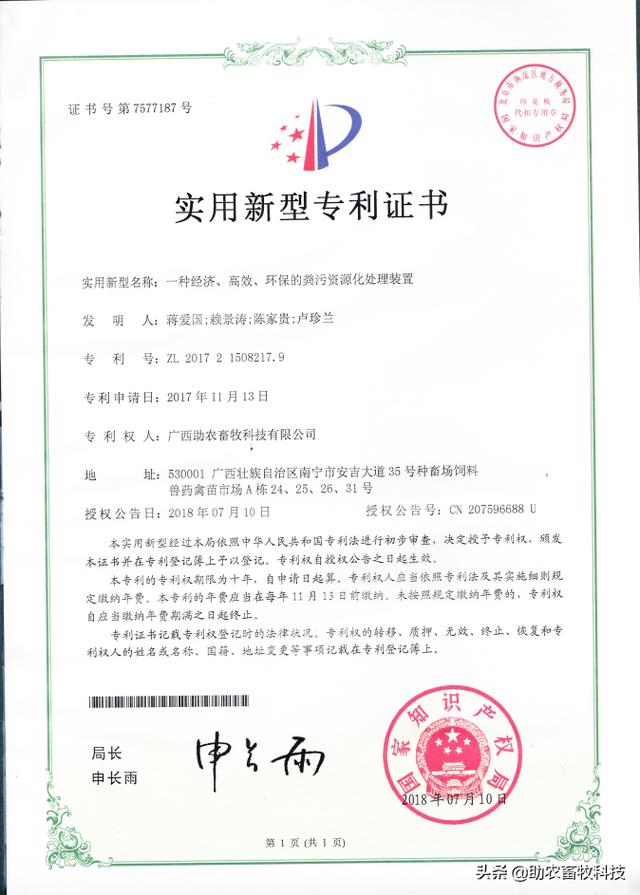 怎么养好老母猪_老母猪怎么养殖技术_养殖猪老母技术要求