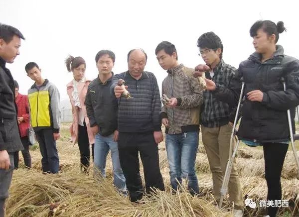 蘑菇致富大王下载安装_致富经蘑菇大王_蘑菇致富有新招