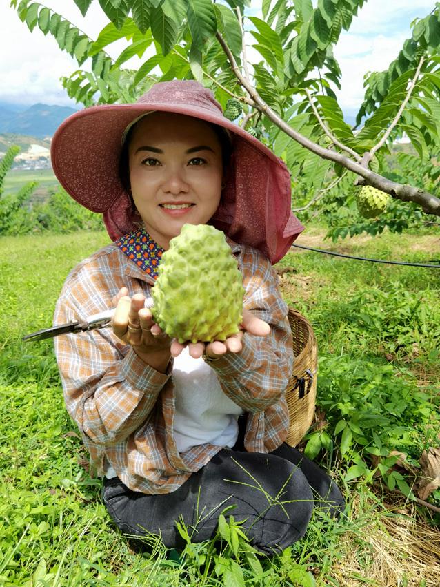 蜜释迦是什么水果_蜜释迦价格_蜜释迦的种植技术