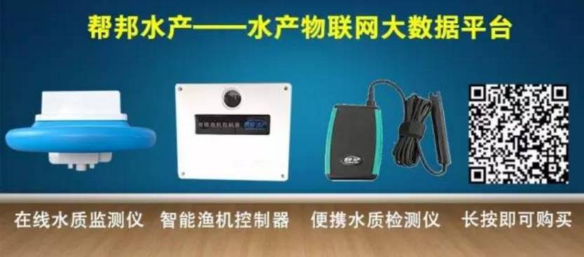 养殖虾苗的基本工作_养殖前期虾苗技术要点_对虾苗前期养殖技术