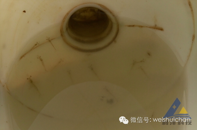 对虾苗前期养殖技术_养殖虾苗的基本工作_养殖前期虾苗技术要点