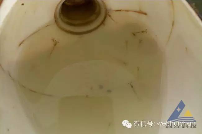 养殖前期虾苗技术要点_养殖虾苗的基本工作_对虾苗前期养殖技术