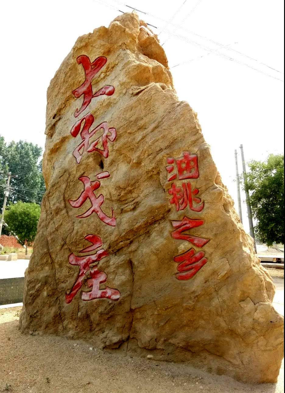 致富种植油桃视频_视频致富种植油桃是真的吗_种植油桃赚钱吗