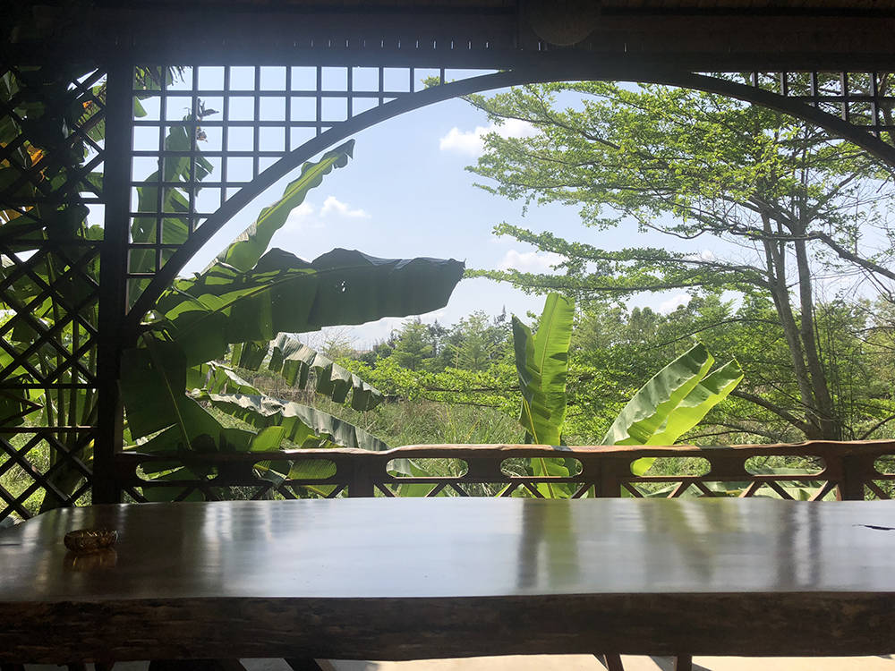 两会进行时｜海南省人大代表黄桂提：鼓励村民申办共享农庄，帮助千家万户致富
