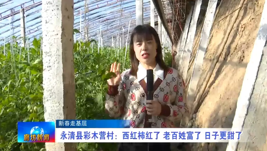 大棚致富项目_大棚种植养殖致富_致富养殖大棚种植视频