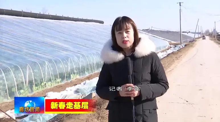 大棚致富项目_大棚种植养殖致富_致富养殖大棚种植视频