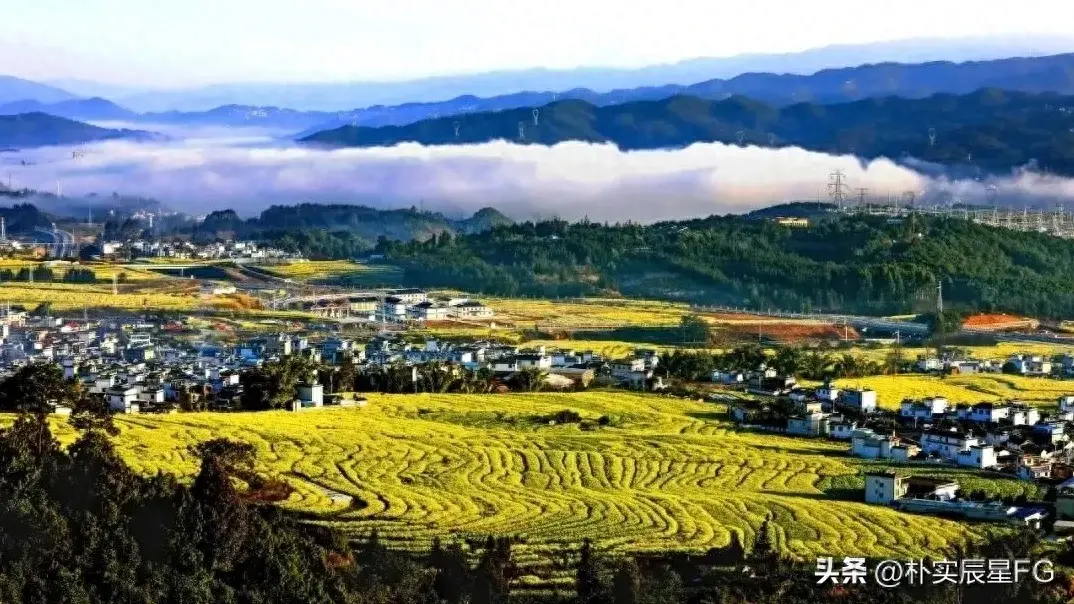 秋收后看水稻上山推广的成效如何？