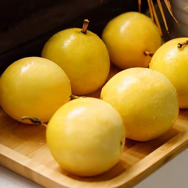 莲的种植方法和育苗_西藩莲种植技术_莲种植