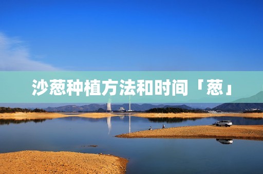 沙葱种植方法和时间「葱」
