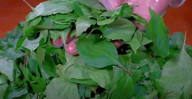 致富经豆腐类致富故事_CCT 致富经神仙豆腐_致富经神仙豆腐