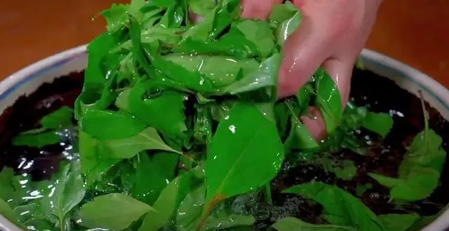 致富经豆腐类致富故事_CCT 致富经神仙豆腐_致富经神仙豆腐