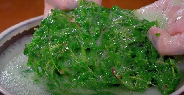 CCT 致富经神仙豆腐_致富经神仙豆腐_致富经豆腐类致富故事