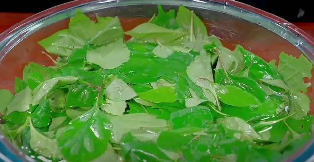 致富经神仙豆腐_CCT 致富经神仙豆腐_致富经豆腐类致富故事