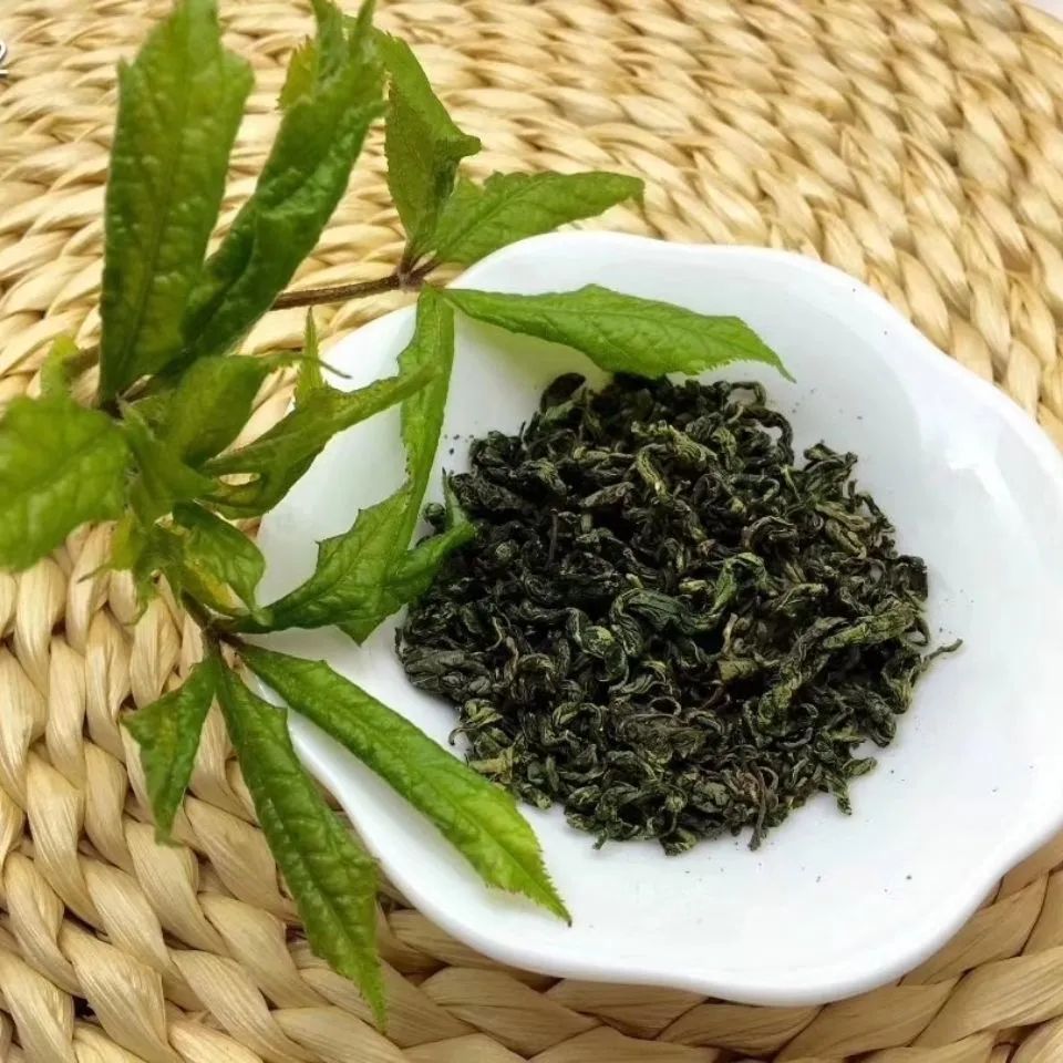 致富经种植刺五加_致富经刺猬_致富经刺梨