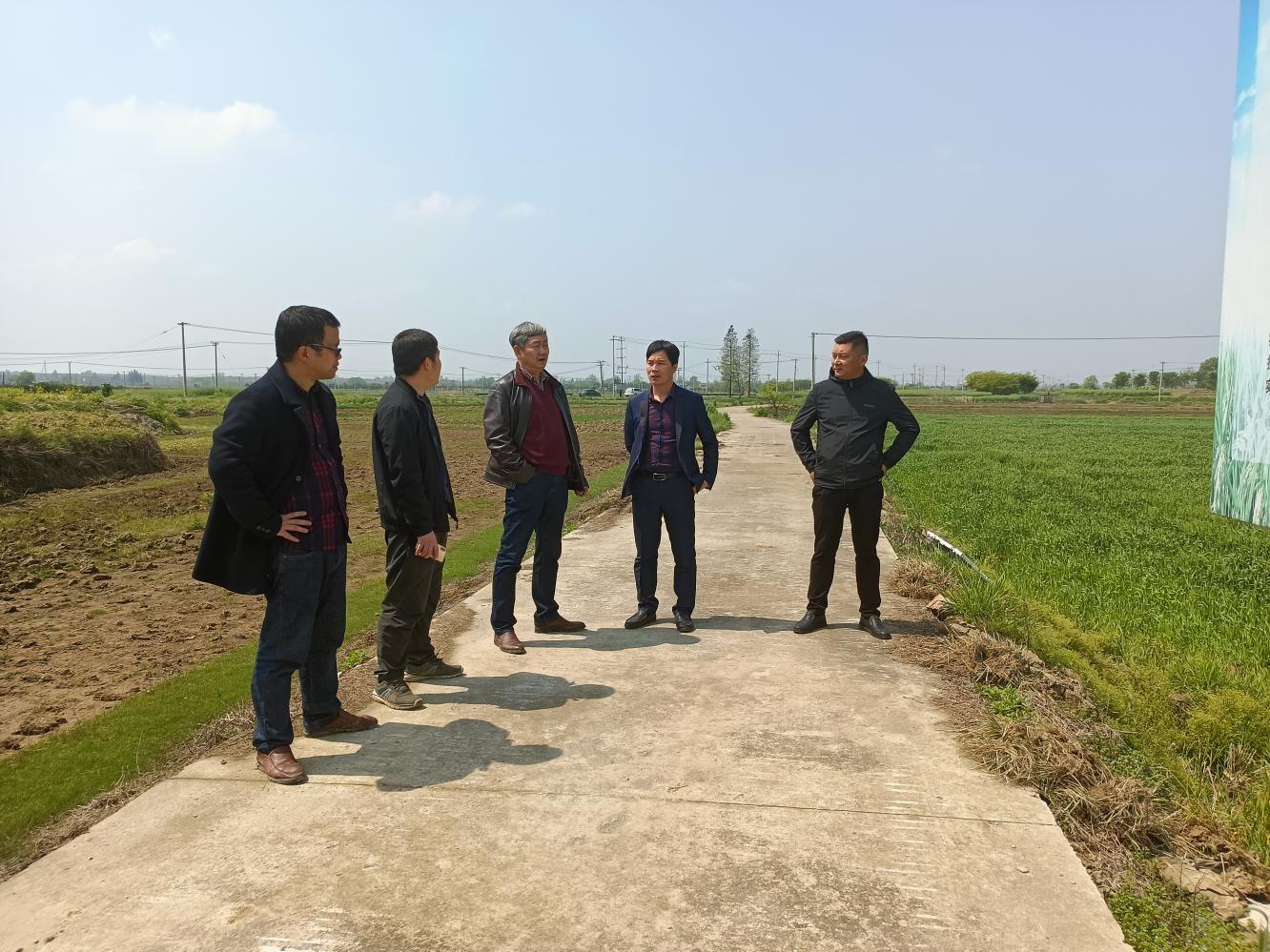 成效作物优质推广经验怎么写_优质作物推广成效及经验_推广农作物