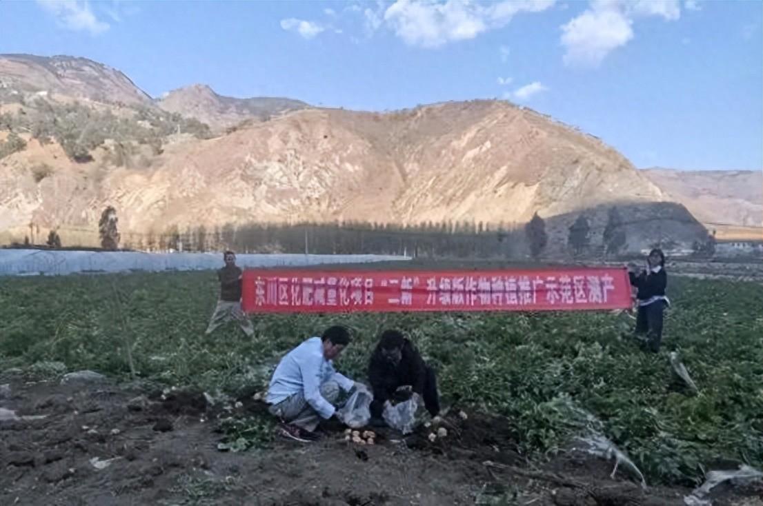 成效作物优质推广经验总结_优质作物推广成效及经验_成效作物优质推广经验怎么写
