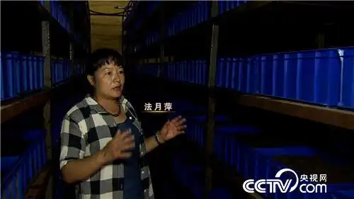 [致富经]法月萍：女博士牛粪养蚯蚓两年赚了几百万