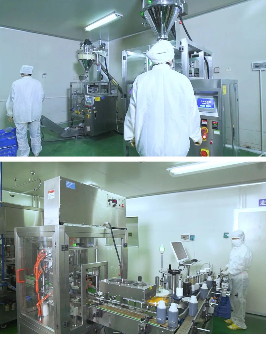养鸽子最新技术_专业养殖鸽子_鸽子大型养殖技术 养殖业