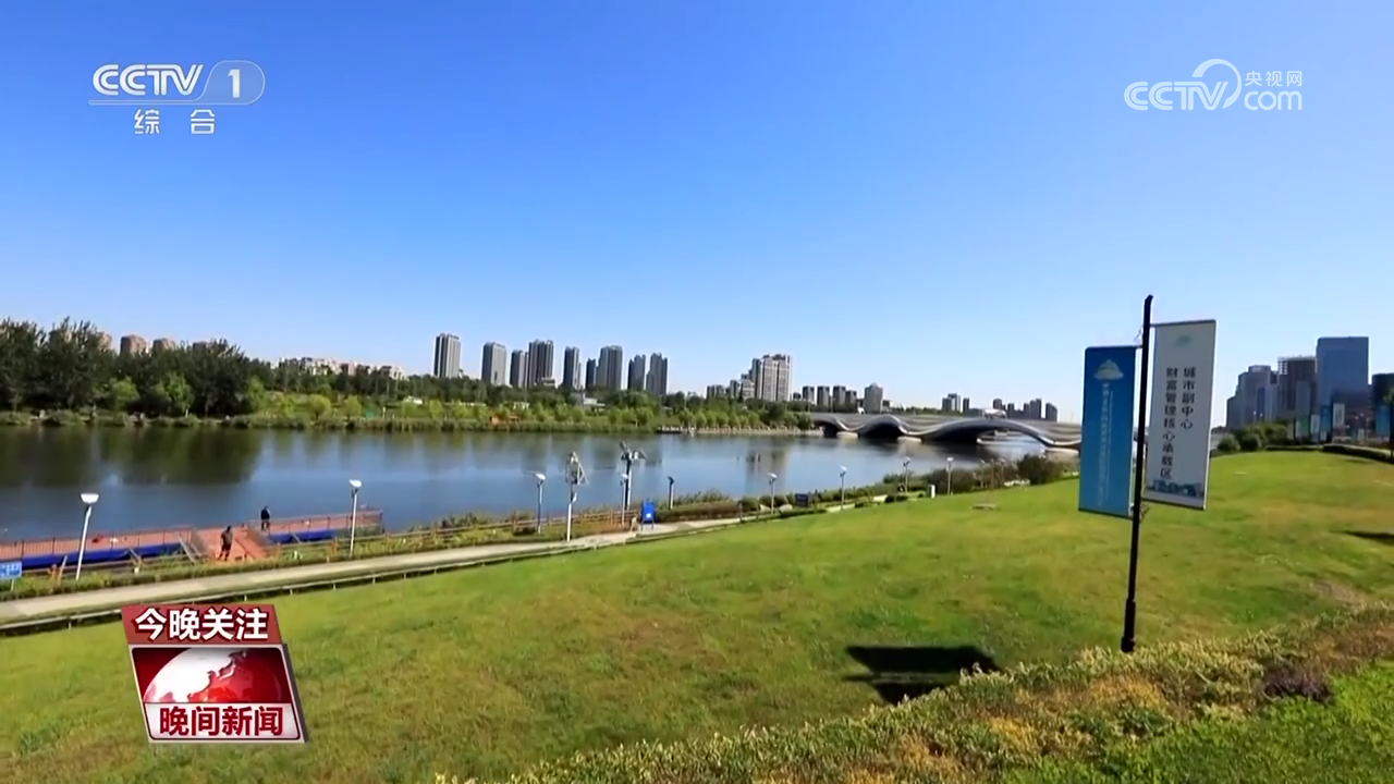 楝树种植致富_致富种植楝树怎么样_致富种植楝树图片