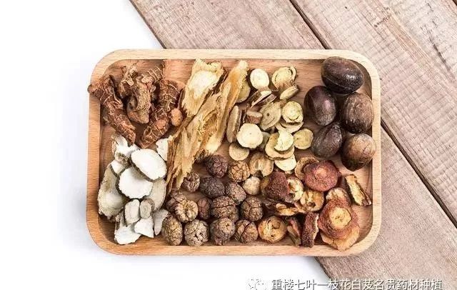 山西种植白术致富_种白术赚钱吗_白术山西能种吗