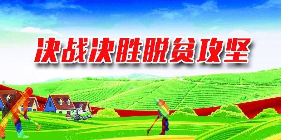 弥勒哪里有种植基地_云南弥勒水果种植_云南弥勒种植致富