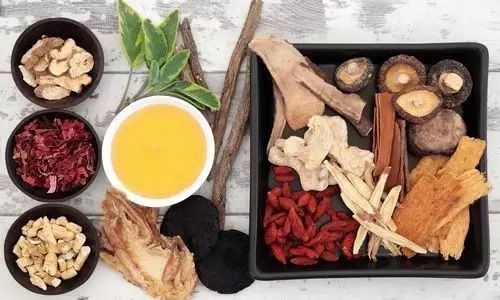 种白术赚钱吗_山西种植白术致富_白术山西能种吗