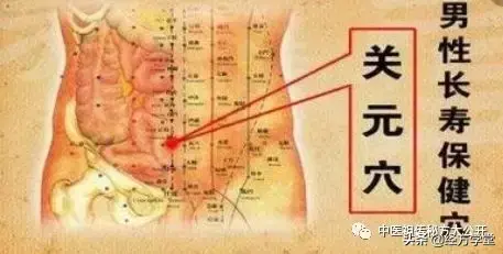 中医秘方经验集锦优质推荐_中医秘方全书_中医秘方700个