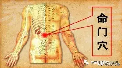 中医秘方700个_中医秘方经验集锦优质推荐_中医秘方全书