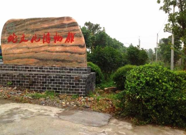 蝮蛇养殖场_致富养殖蝮蛇怎么样_养殖蝮蛇致富