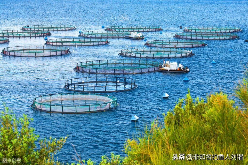 致富经种植养殖全部视频_致富养殖网_颗粒养殖致富